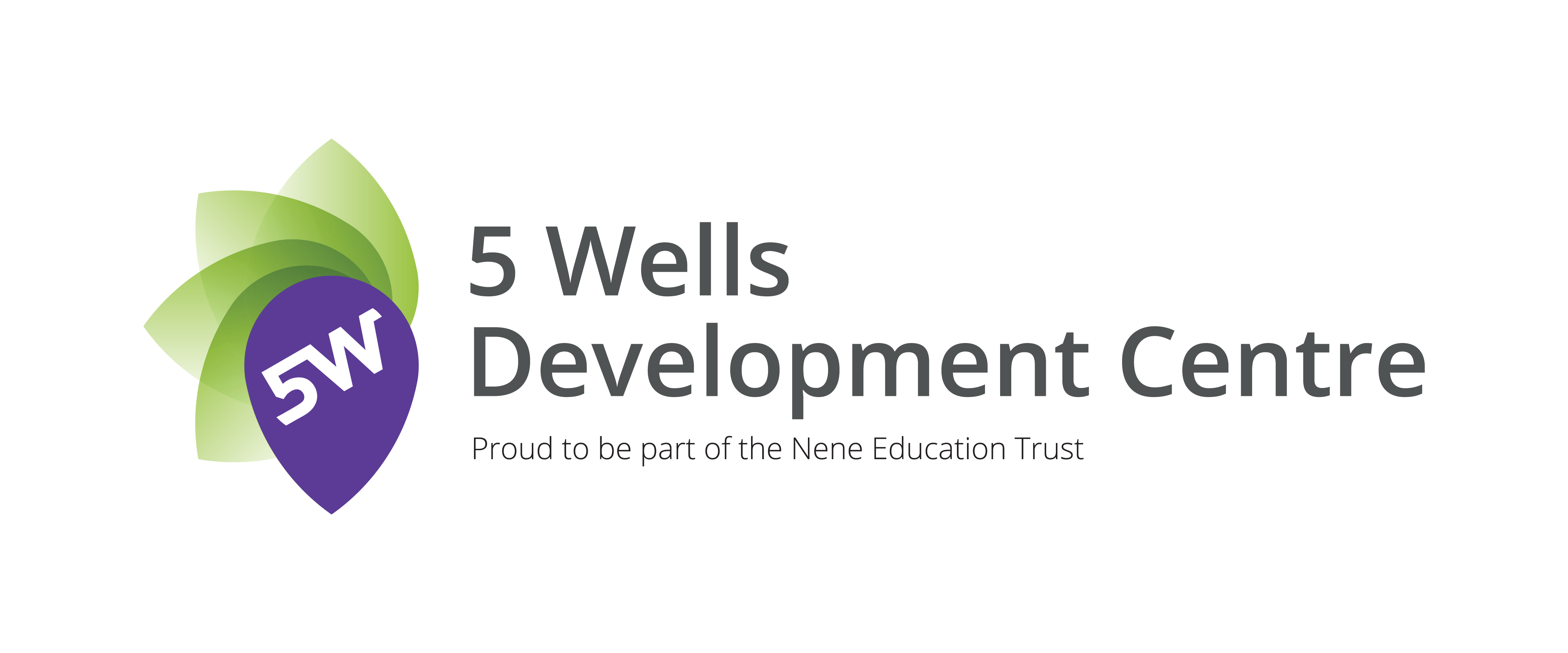 5Wells Logo